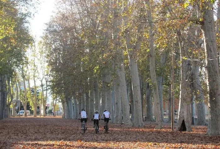 2 Bedroom With Terrace *