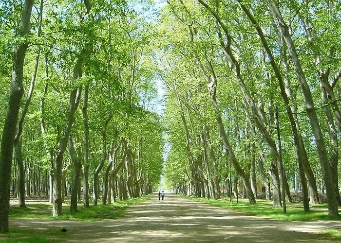 2 Bedroom With Terrace 赫罗纳